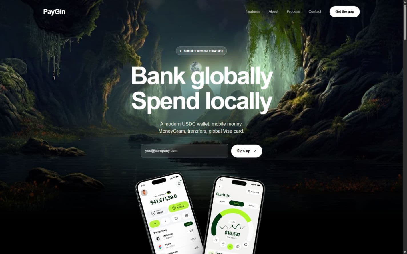 Paygin preview with a financial services interface